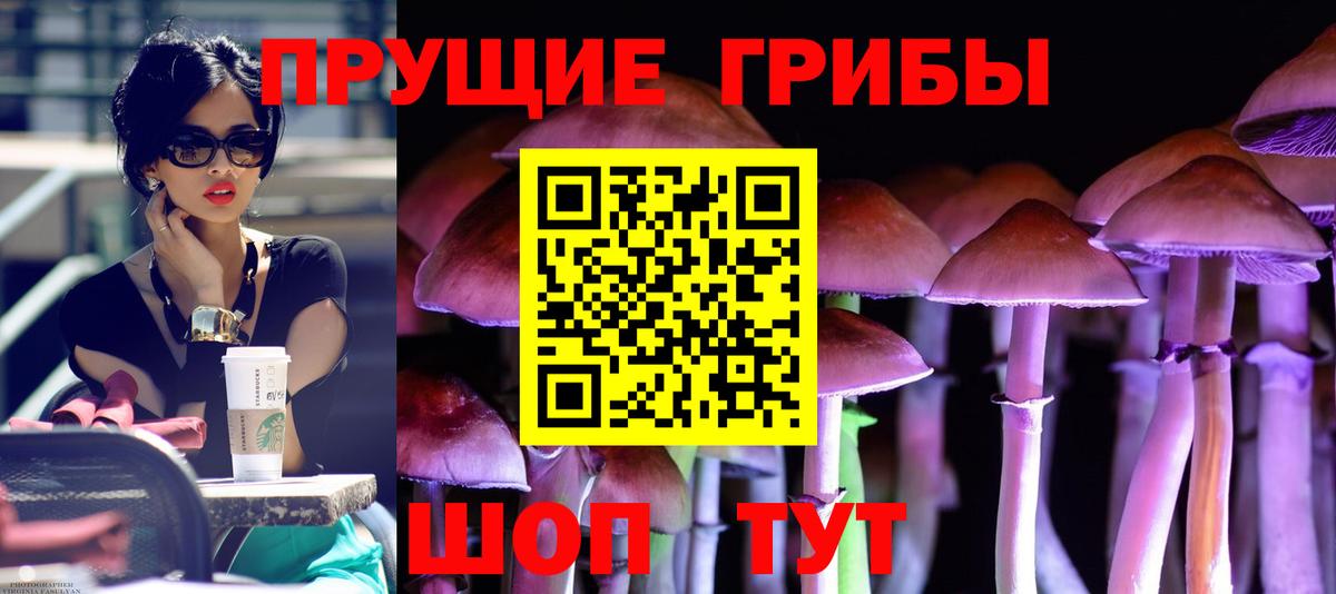 Псилоцибиновые грибы мухоморы Глазов