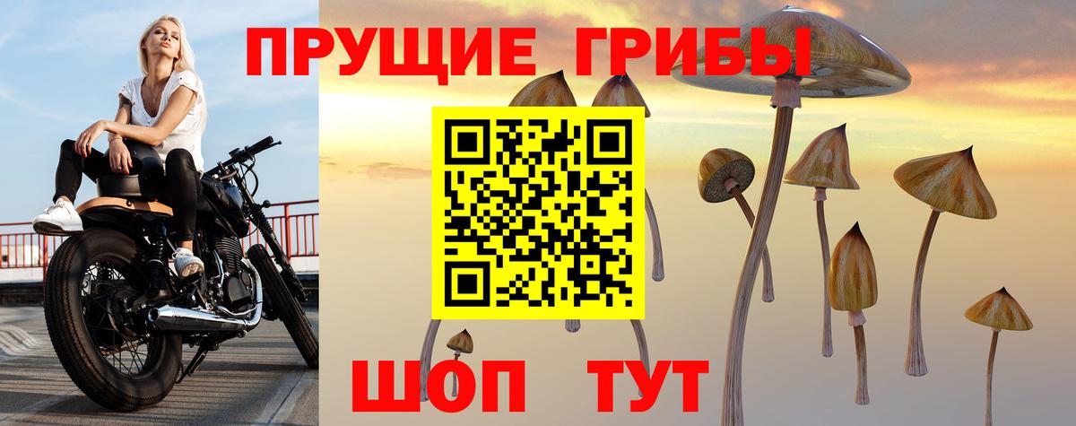 Глазов  Галлюциногенные грибы Psilocybine cubensis  купить наркотик  Вход с VPN  Псилоцибиновые грибы мицелий 